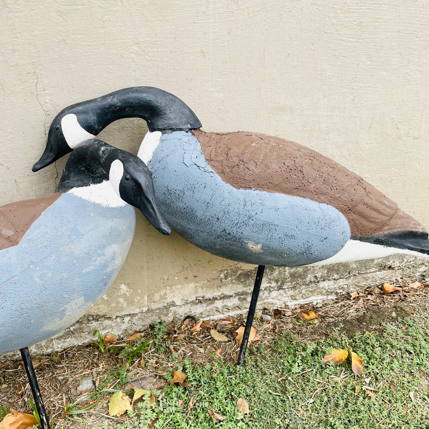 Pair of Canada Geese Styrofoam Decoys- Vintage