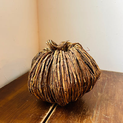Vine Pumpkin