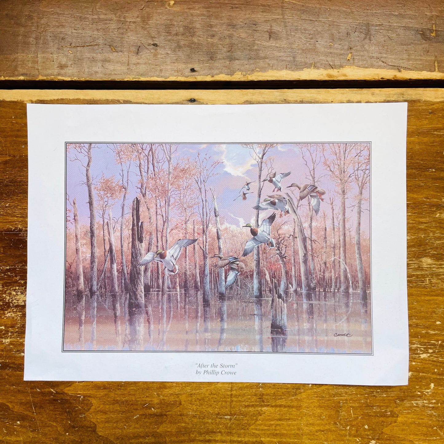 After the Storm Print by Phillip Crowe-Vintage