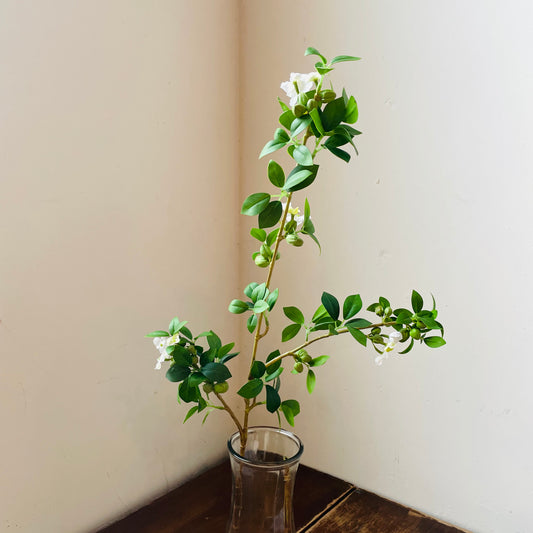 Green Quince Branch