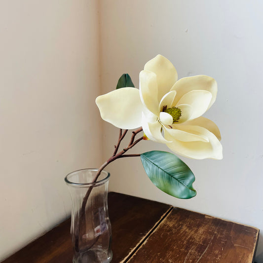 Magnolia Flower Stem