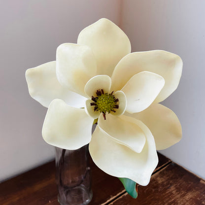 Magnolia Flower Stem