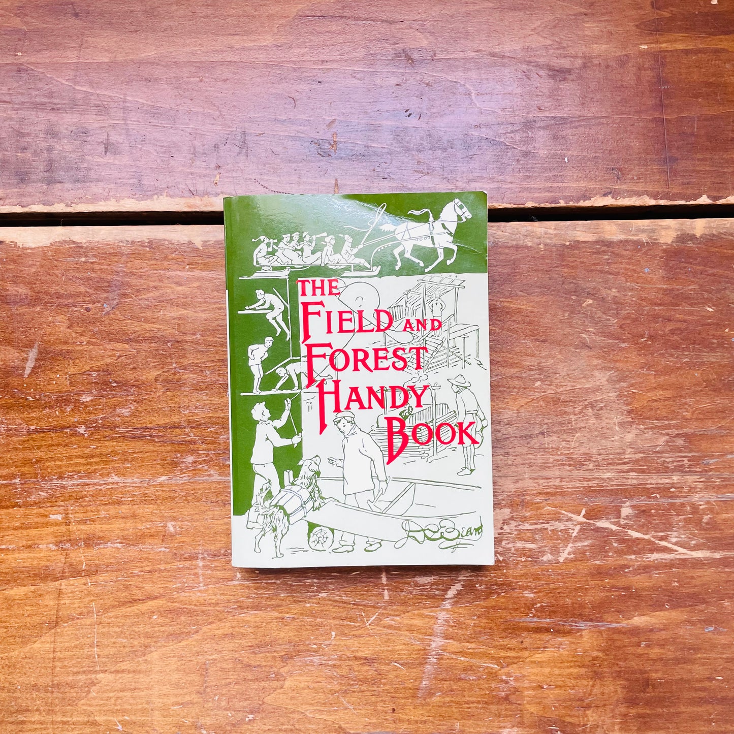 The Field & Forest Handy Book- Vintage