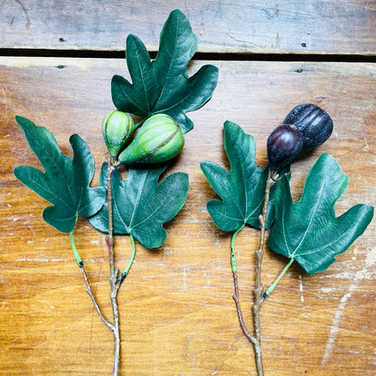 Fig Cuttings