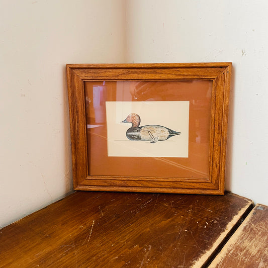 Duck Decoy Framed Print-Vintage