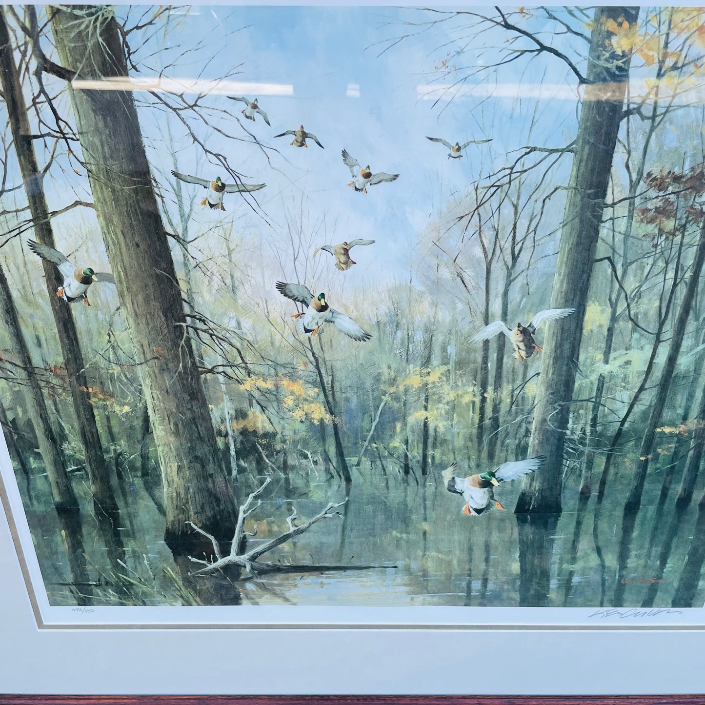 Mallards in Timber Print by Ken Carlson-Vintage