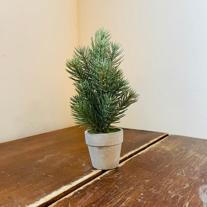 Mini Potted Pine Tree