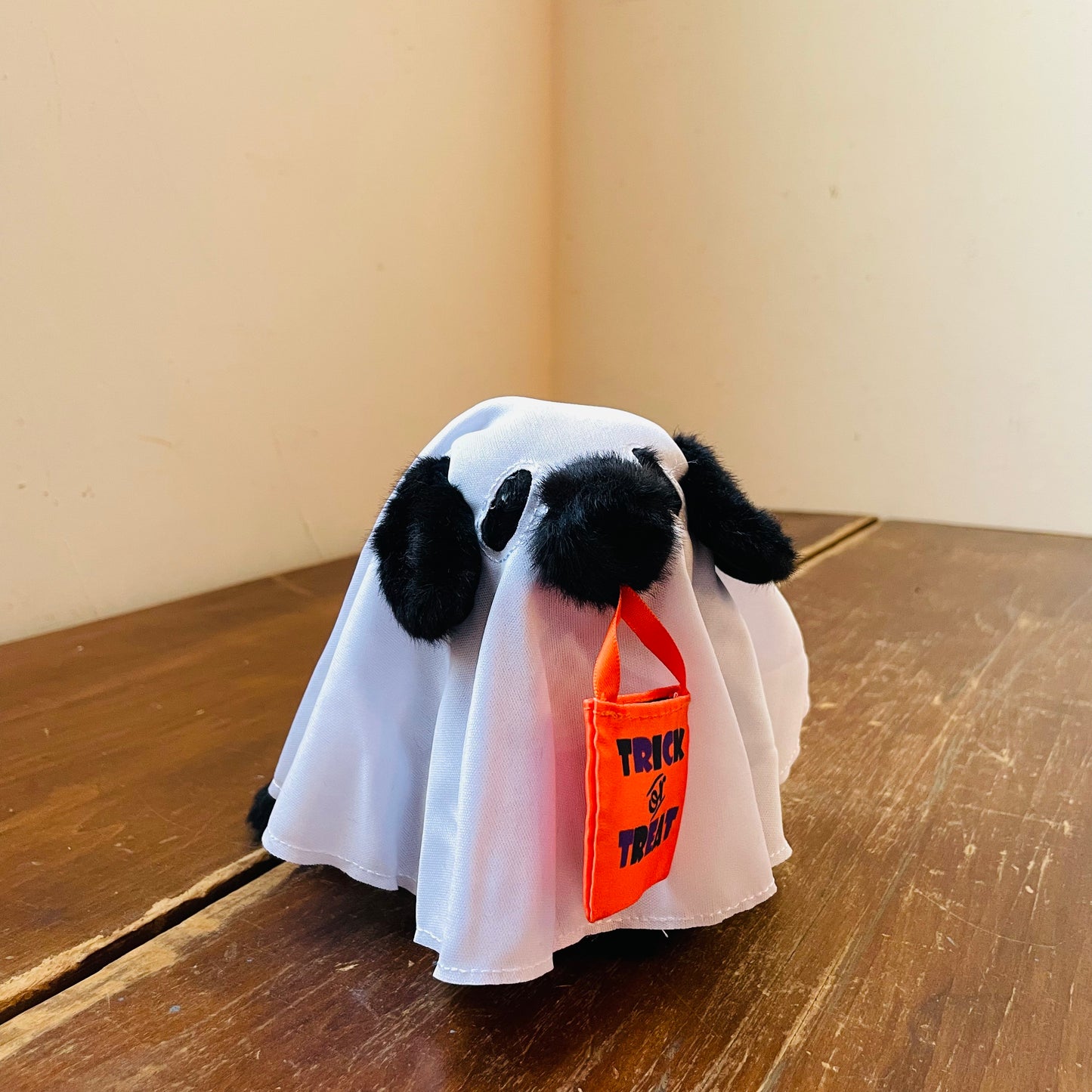Ghoulie the Black Lab