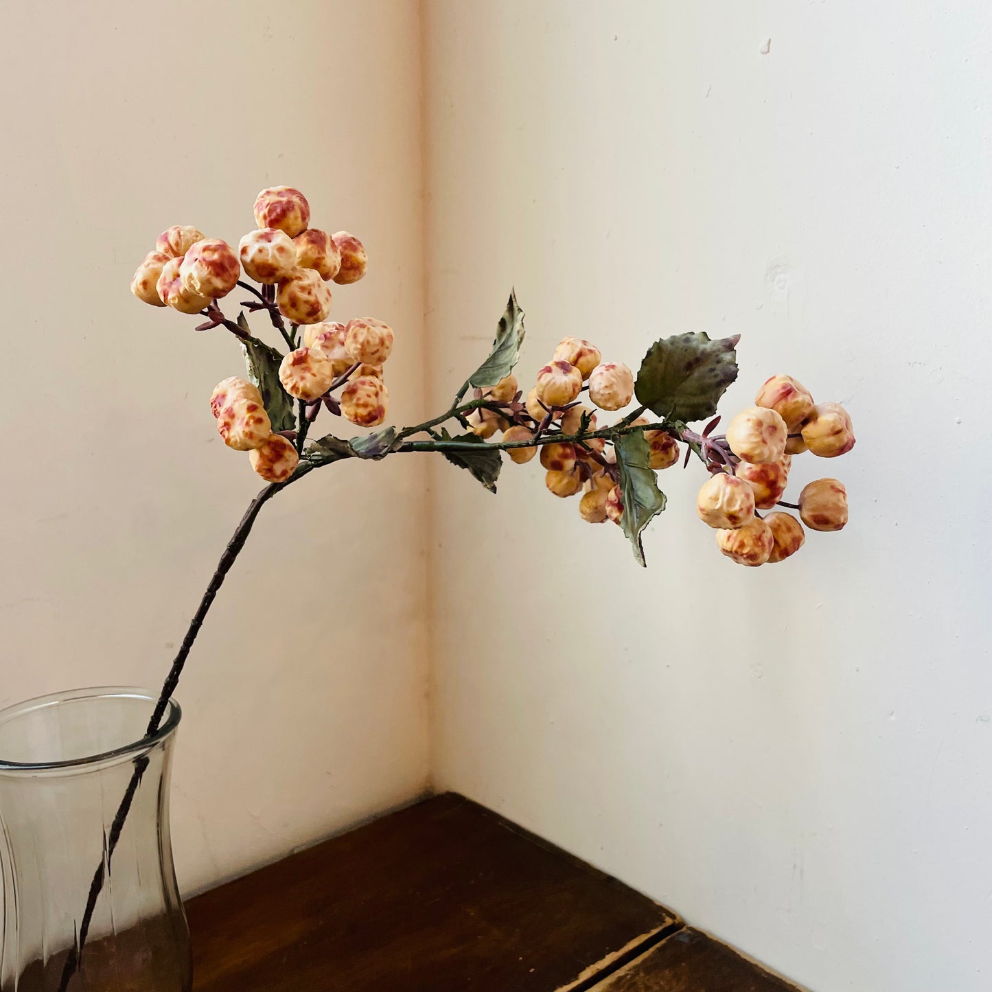 Dried Vanilla Crabapple Stem