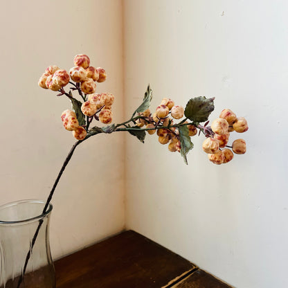 Dried Vanilla Crabapple Stem