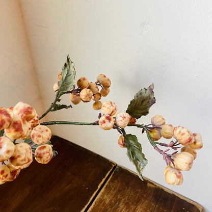 Dried Vanilla Crabapple Stem