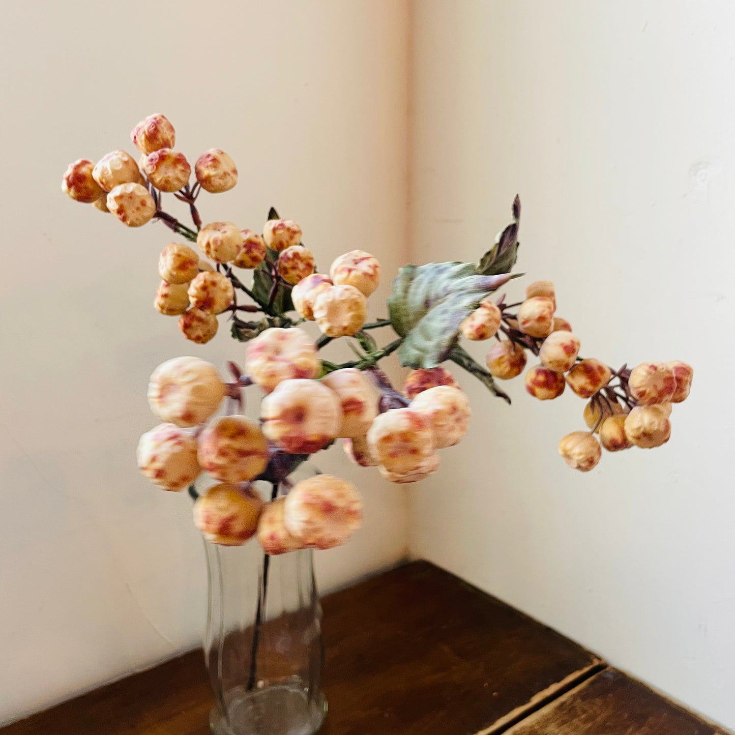 Dried Vanilla Crabapple Stem