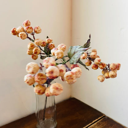 Dried Vanilla Crabapple Stem