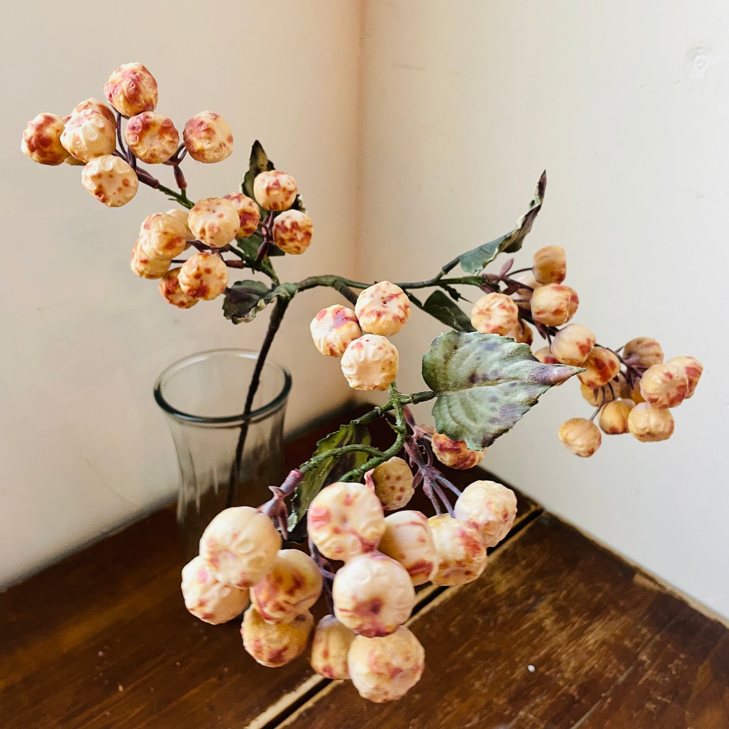 Dried Vanilla Crabapple Stem