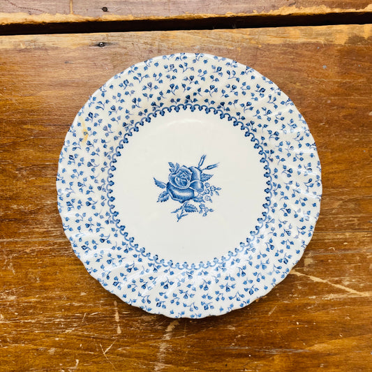 Royal Victoria Rose Bouquet Saucer- Vintage