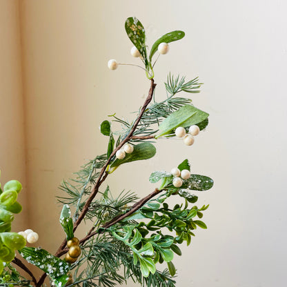 Mistletoe Branch