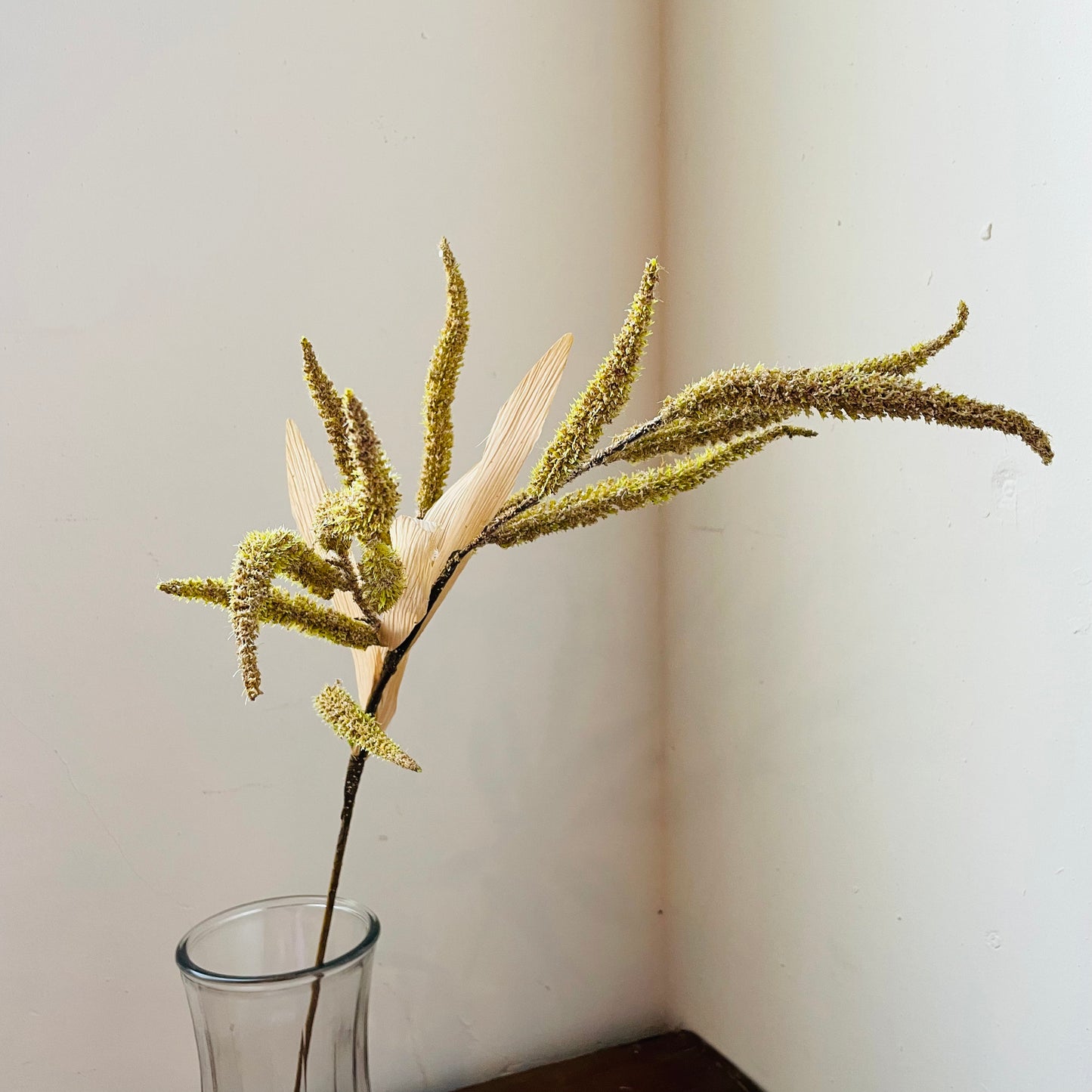 Autumn Plume Grass Stem