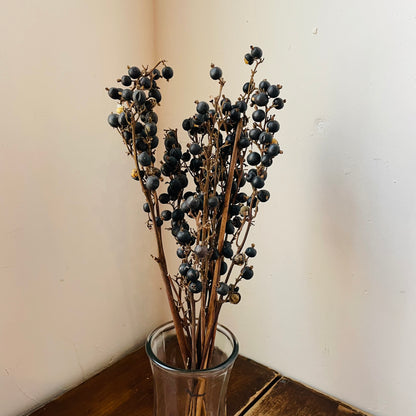 Black Dried Berries