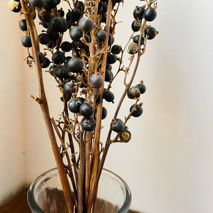 Black Dried Berries