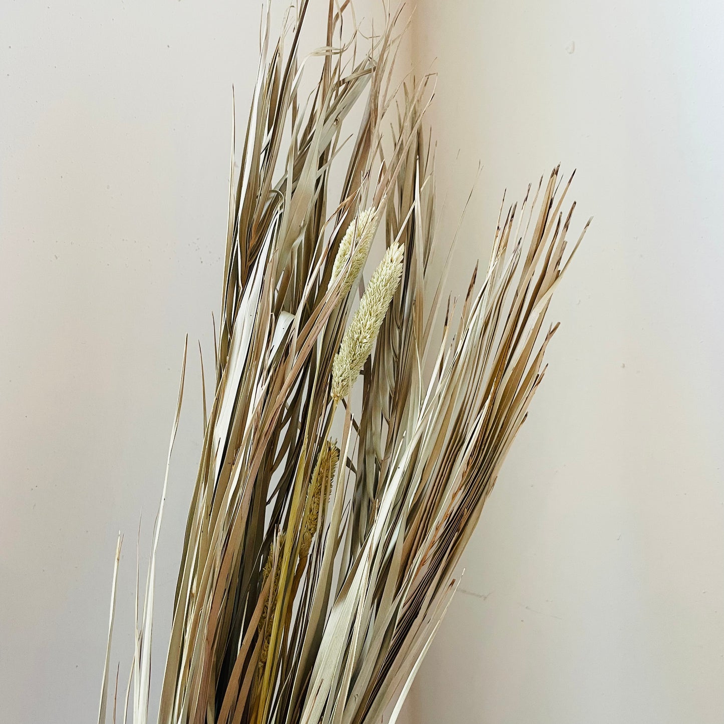 Dried Canary Grass & Date Palm