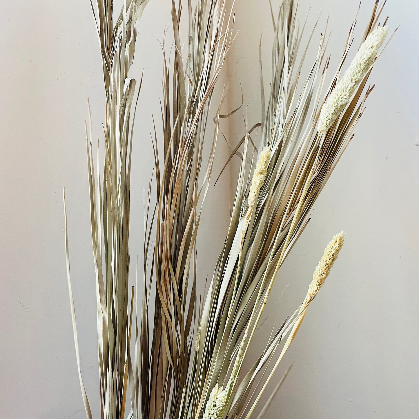 Dried Canary Grass & Date Palm