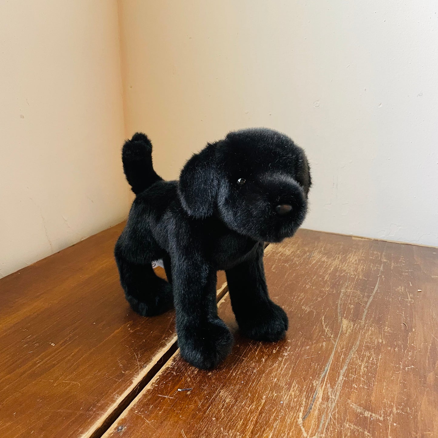 Bean the Black Lab Plush