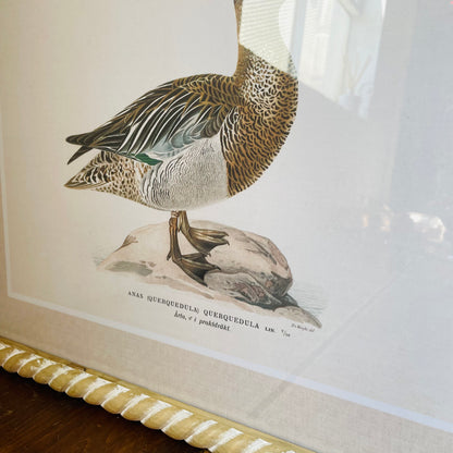 Duck Wall Art in Hand-Carved Wood Frame