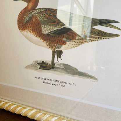 Duck Wall Art in Hand-Carved Wood Frame