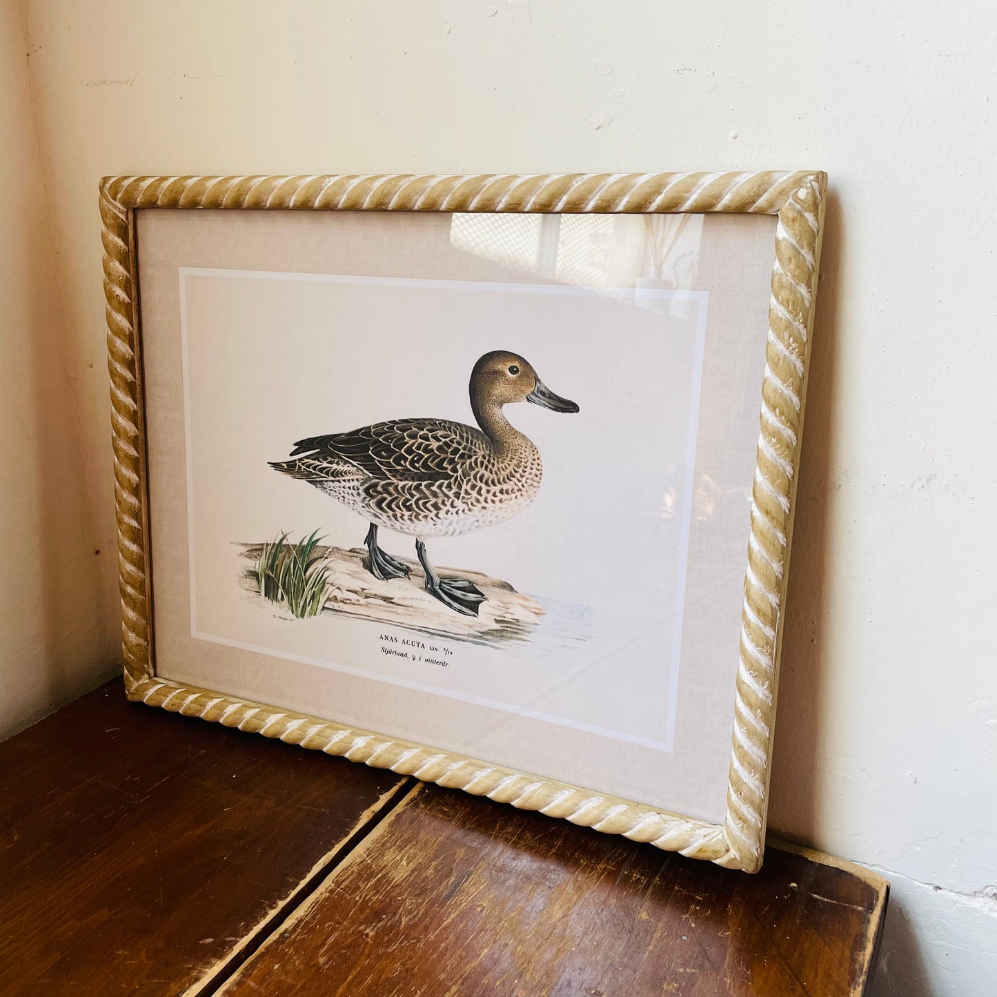 Duck Wall Art in Hand-Carved Wood Frame