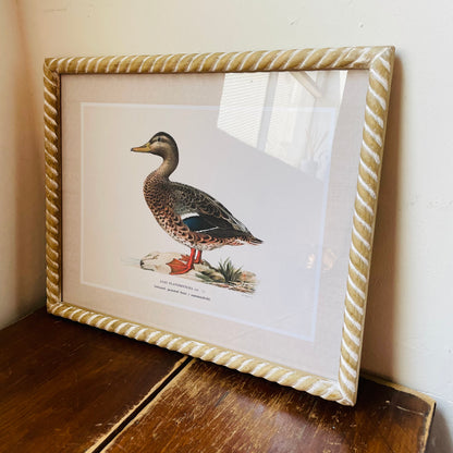 Duck Wall Art in Hand-Carved Wood Frame