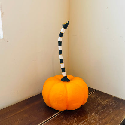 Striped Stem Pumpkin