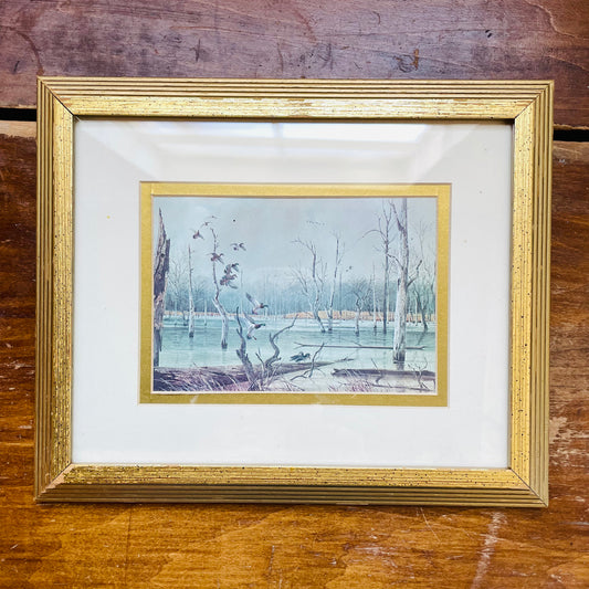 Texas Waterfowl Framed Print- Vintage