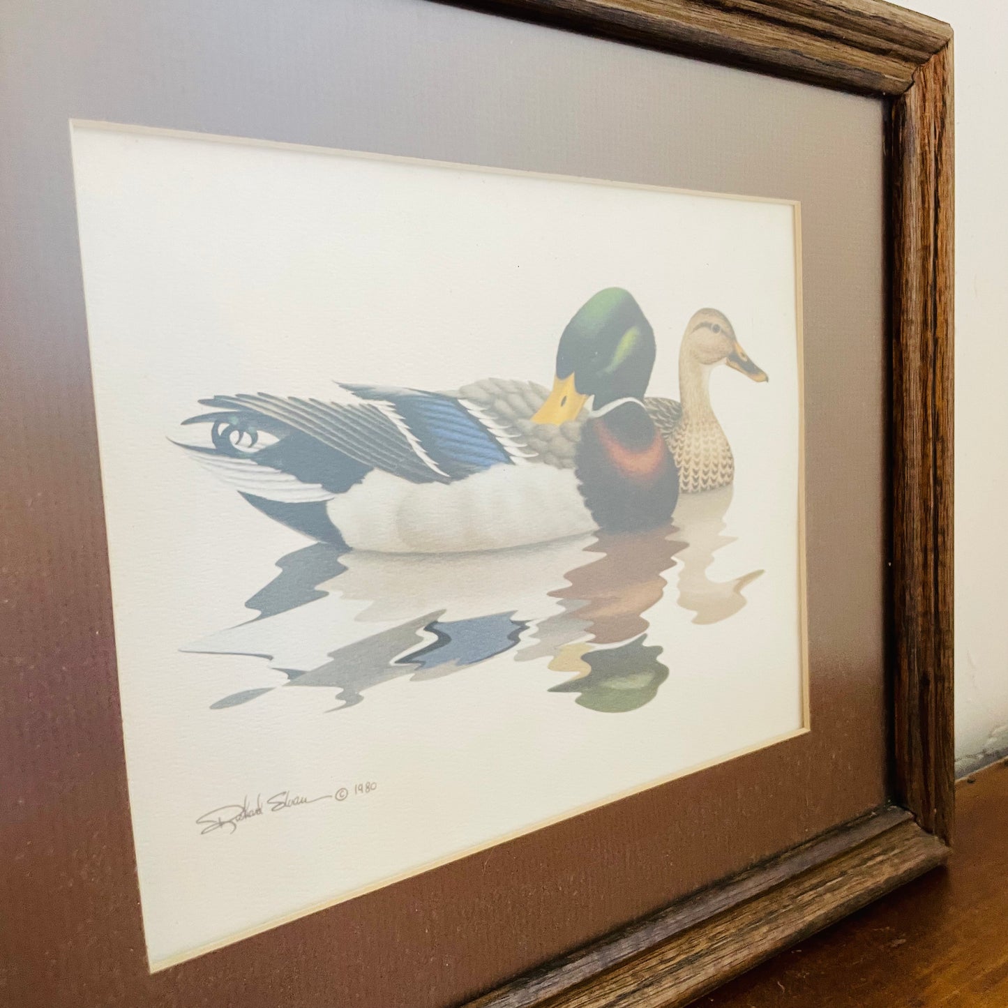 Mallard Ducks by Richard Sloan Framed Print- Vintage