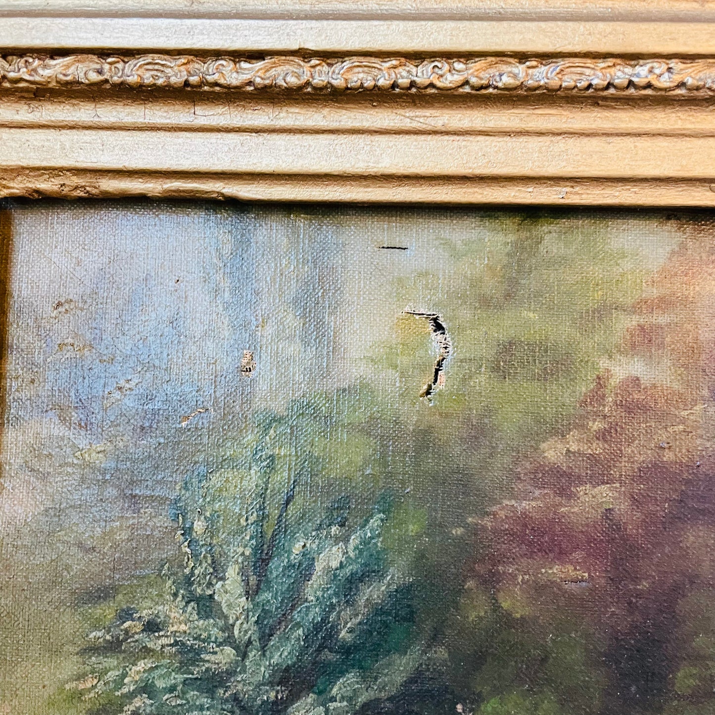 Unsigned Swan Oil Painting in Ornate Heavy Frame- Antique