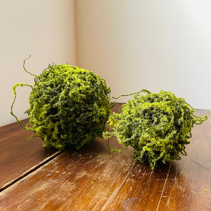 Moss Ball