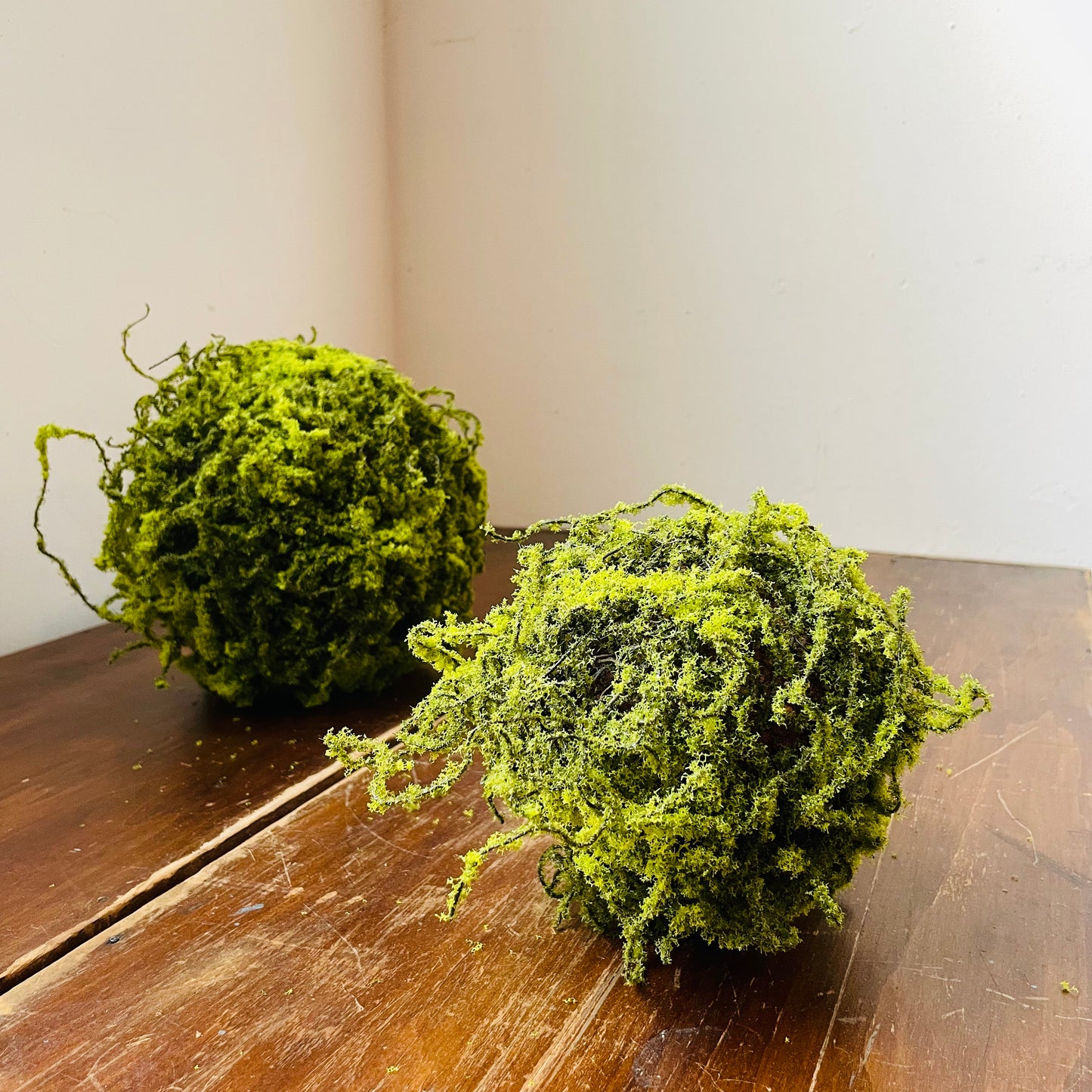 Moss Ball