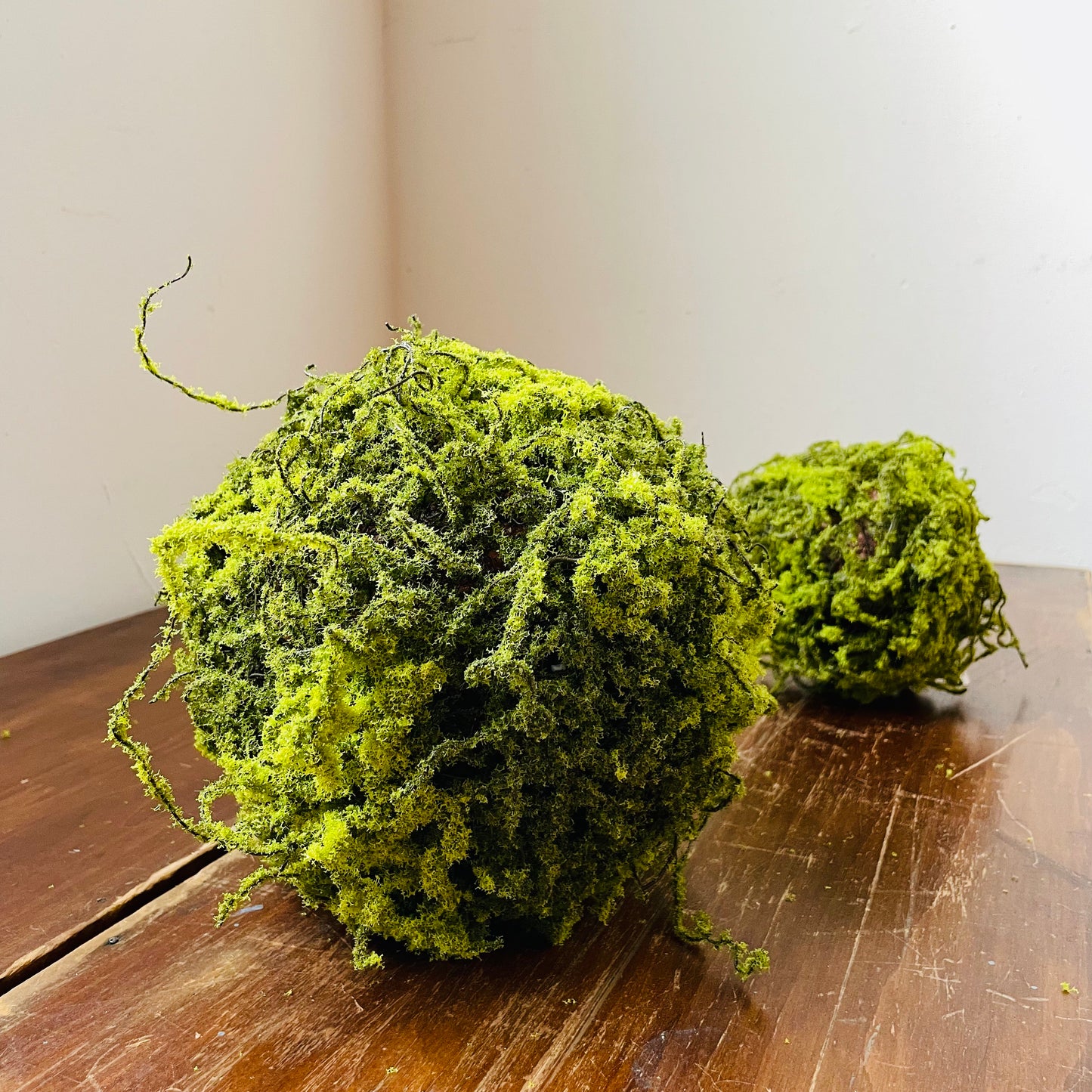 Moss Ball