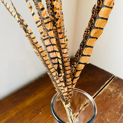 Faux Pheasant Feather Bundle