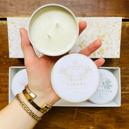 Winter Discovery Candle Trio