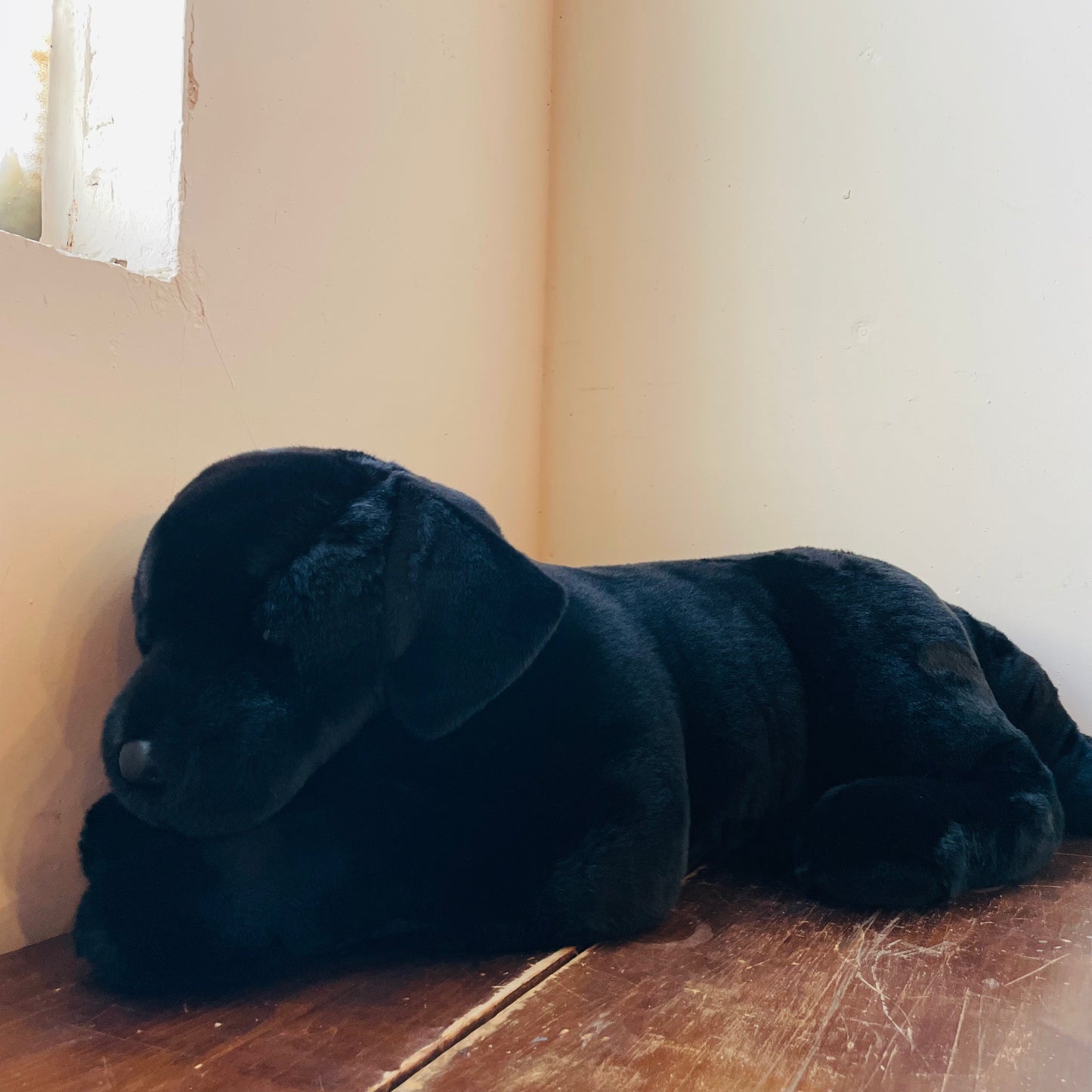 Dickens the Over-sized Black Lab Plush
