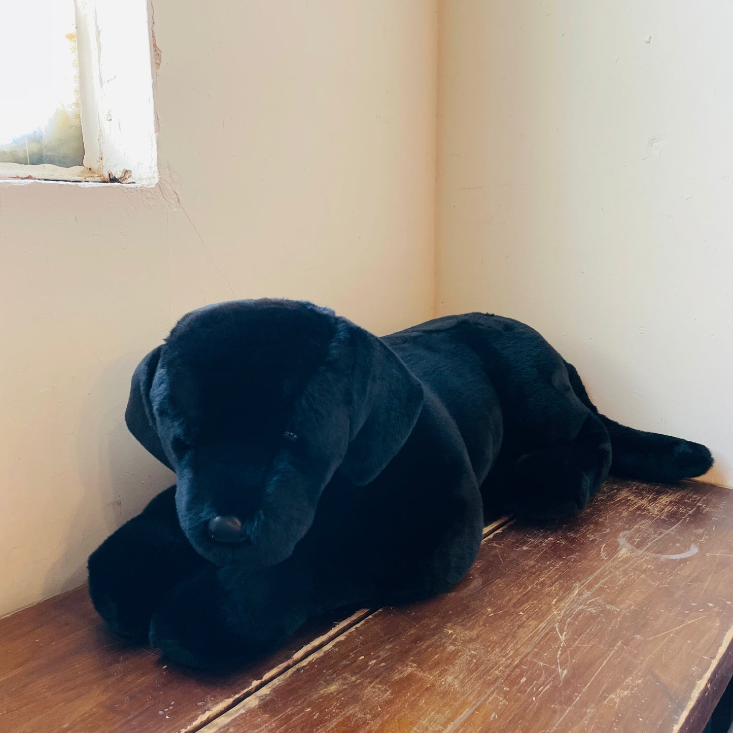 Dickens the Over-sized Black Lab Plush