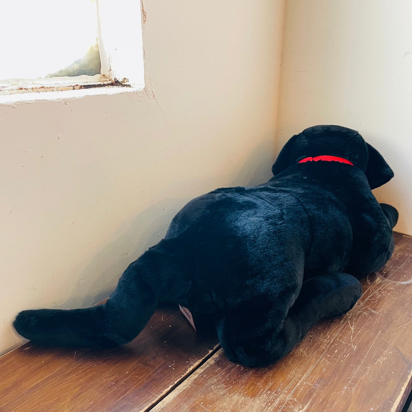 Dickens the Over-sized Black Lab Plush
