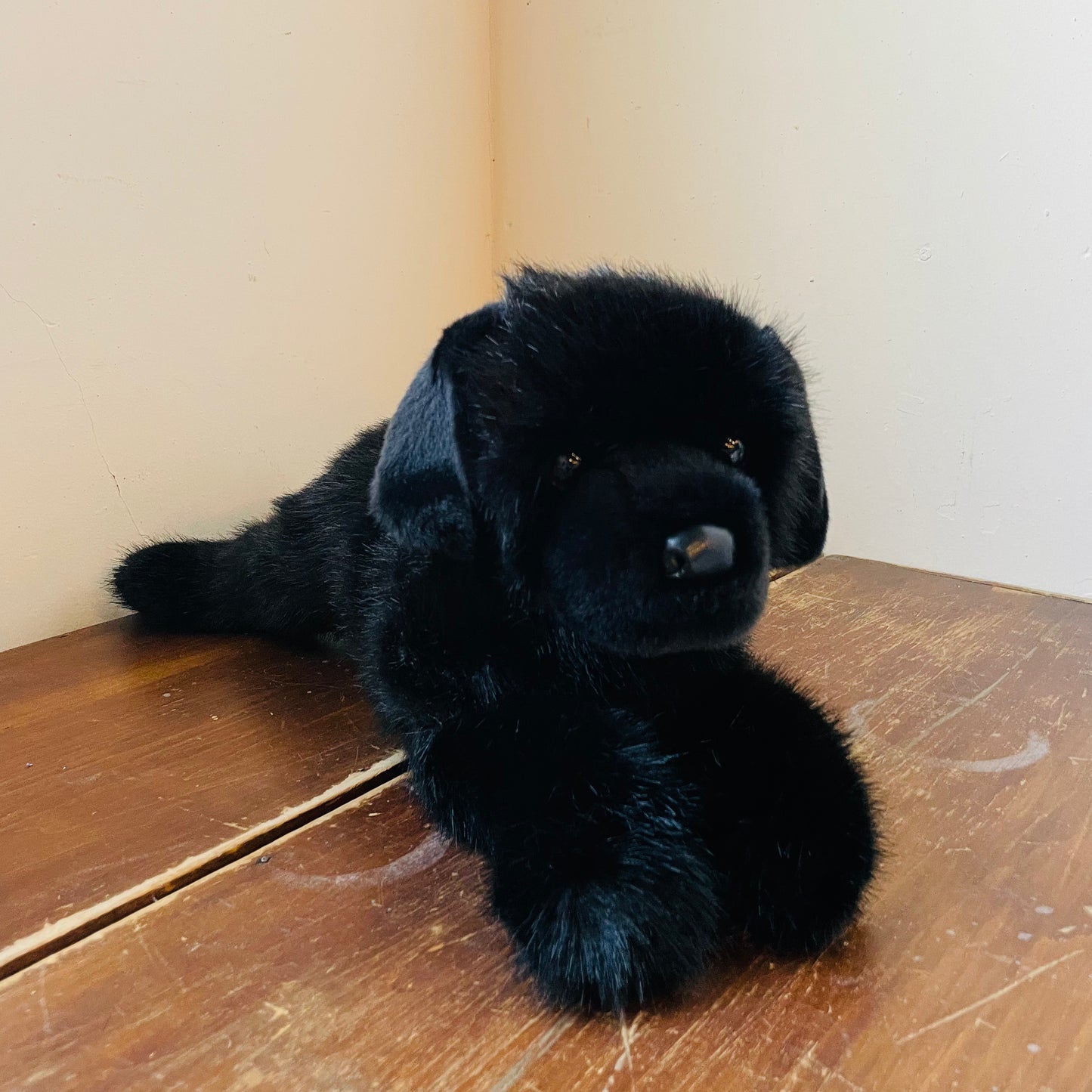 Jett the Black Lab Plush