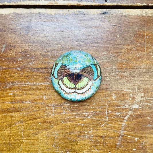 Azul & Verde Butterfly Paper Weight