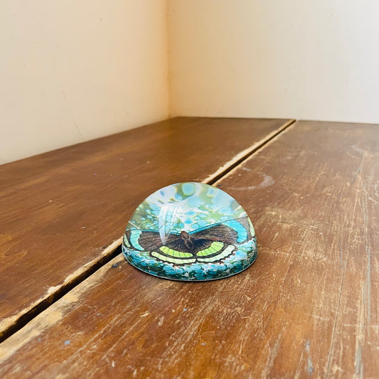 Azul & Verde Butterfly Paper Weight