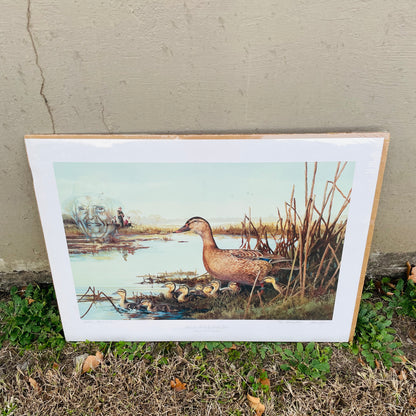 "Mamma Duck" Print by Zettie Jones- Vintage