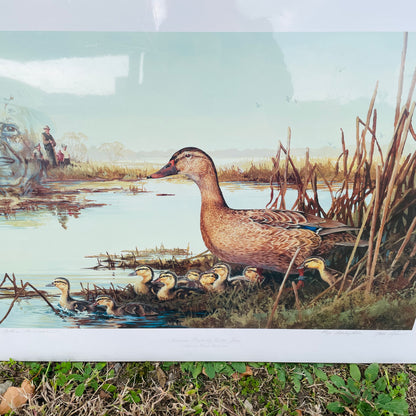"Mamma Duck" Print by Zettie Jones- Vintage