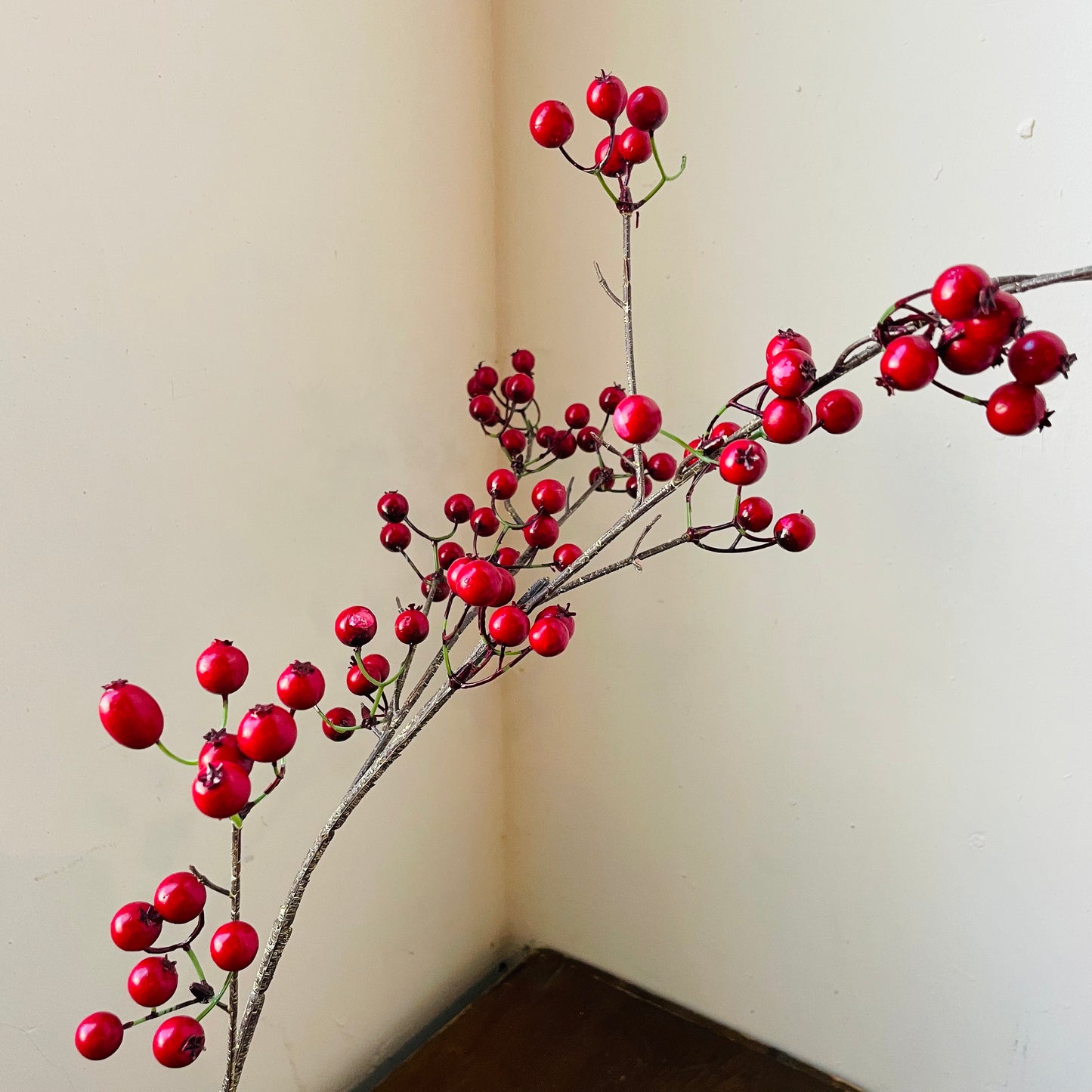 Hawthorn Berry Stem