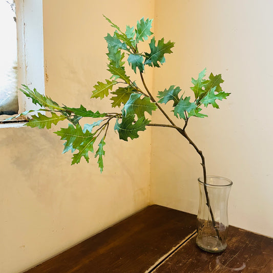 Green Oak Branch