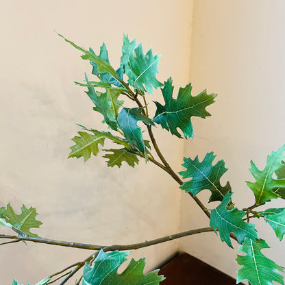 Green Oak Branch